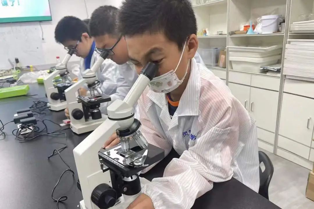 学员风采